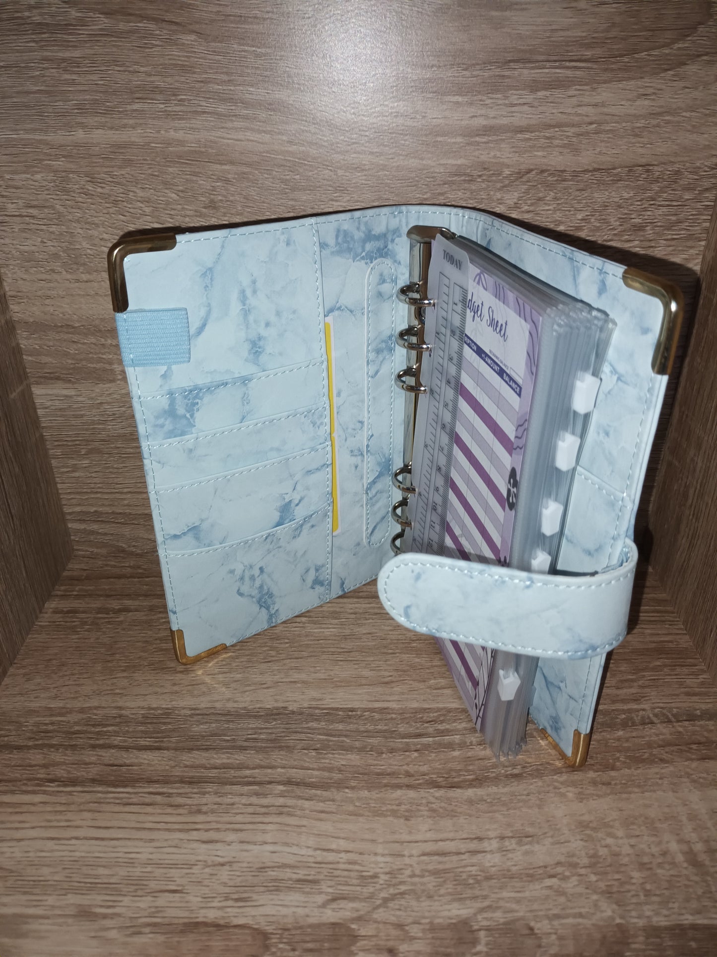Organisateur de budget